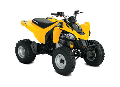 Can Am Youth DS 250 STD